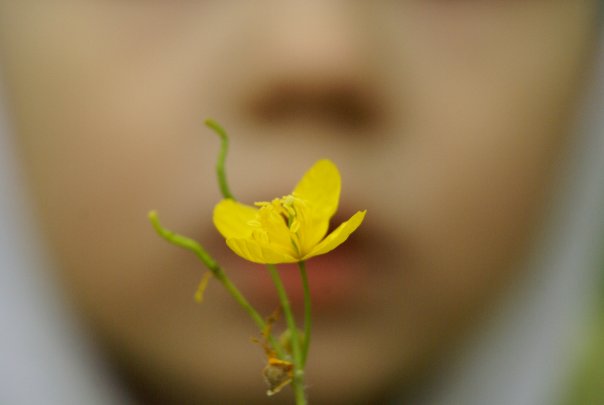 Tenderness Tenderness